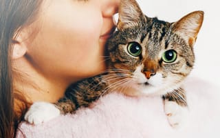 Картинка hugs cat, woman, beautiful cat, kisses