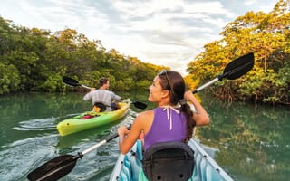 Картинка kayaking, mangroves, trip, Florida, Islamorada