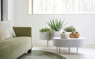 Картинка Biophilic Design, happier home, Eco Home