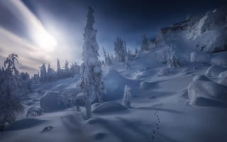 Картинка склон, деревья, снег, николай шевченко, сугробы