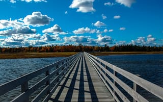 Картинка мост, река, деревья, небо
