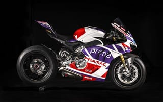 Картинка Ducati, bike, Ducati Panigale V2 Bulega 2023 World Champion Replica