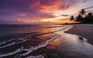 Картинка тропики, океан, закат, пальмы, пляж
