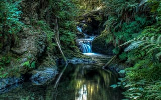 Картинка Natureza, Lago, Paisagem, Floresta, Cachoeira