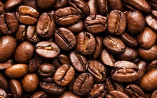 Картинка кофе, зерна, коричневый, еда, напиток, аромат, культура