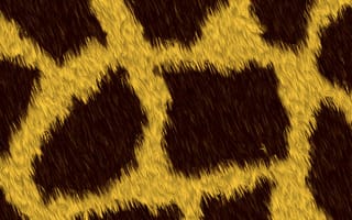 Картинка текстурный, текстурные, текстура, текстуры, фон, шерсть, мех, жираф