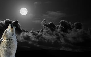 Картинка волк, луна, ночь, облака