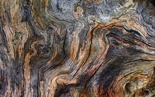 Картинка дерево, трещины, текстура