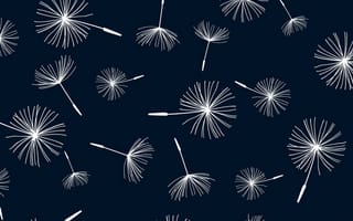 Картинка одуванчик, текстура