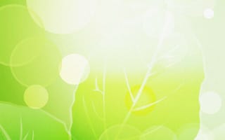 Картинка Листья, Green, Рендеринг, Лето