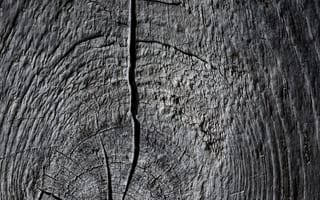 Картинка текстура, дерево