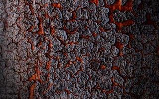 Картинка кора, текстура, лава