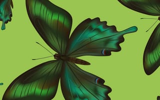 Картинка текстура, бабочки, butterflies, texture