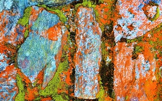 Картинка камни, стена, цвет, краски, мох