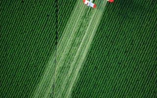 Картинка plantacion, verde, avion