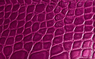 Картинка texture alligator skin, reptile, scales