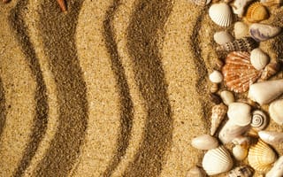 Картинка sand, marine, песок ракушки, beach, starfish, seashells, texture