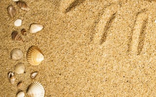 Картинка sand, beach, песок ракушки, texture, marine, seashells