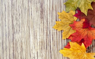 Картинка autumn, wood, дерево, leaves, осенние листья, texture, colorful