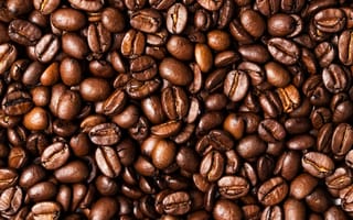 Картинка coffee, seeds, toasted