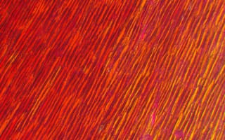 Картинка Christmas cactus petal, 40x