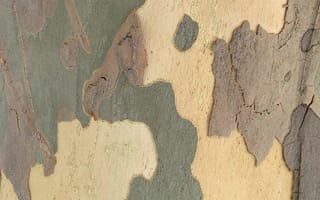 Картинка текстурный, текстурные, текстура, текстуры, фон, стена, царапины, поверхность