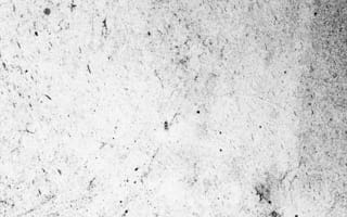 Картинка белые, монохромный, узор, черный, небо