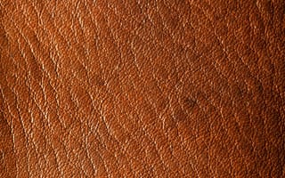 Картинка Апельсин, коричневый цвет, древесина, шкура, рюкзак