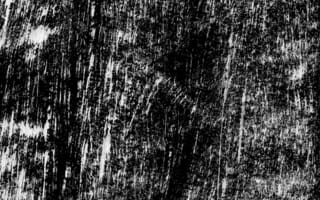 Картинка гранж, черный, монохромный, дерево, узор