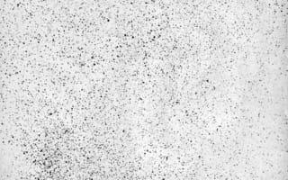 Картинка монохромный, линия, узор, монохромный режим, белые