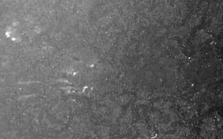 Картинка черный и белый, монохромный, черный, вода, атмосфера