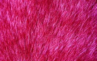 Картинка мех, текстура, розовый, пурпурный цвет, красный цвет