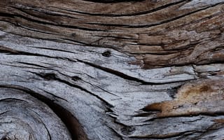Картинка Дерево, Текстура, Текстуры, Кора, Трещины