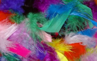 Картинка Перья, Разное, Разноцветный