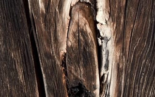 Картинка текстура, доска