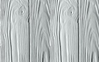 Картинка дерево, заставка, структура