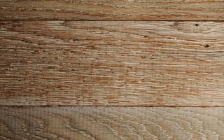 Картинка дерево, цвет, структура