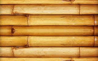 Картинка текстура, pattern, бамбук, bamboo, стена, wall
