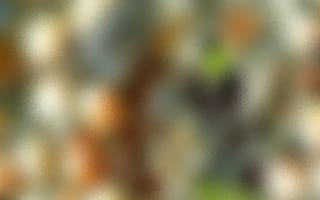 Картинка абстракт, текстуры, grainy, облачные эффекты, размыто, зернистость