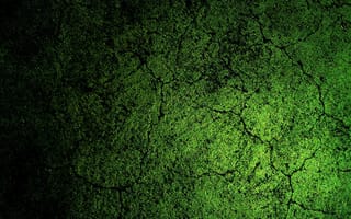 Картинка 1920x1434, texture, зеленый, абстракция, abstraction, Текстура, green