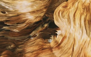 Картинка дерево, Текстура, Абстрактные, Макрос