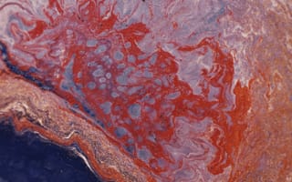 Картинка Абстрактная живопись, абстрактный, Абстрактный экспрессионизм, блестки, дизайн, живопись, Искусство, краска, красочный, креативность, крупный план, современное искусство, текстура, холст, художественный, цвета