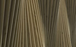 Картинка 3D, 3d визуализация, cgi, абстрактный, архитектура, волна, дерево, деревянный, линия, лучи, оказывать, современный, текстура, узор