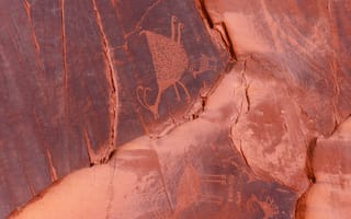 Картинка абстрактный, бревно, грубый, дерево, крупный план, поверхность, структура, текстура