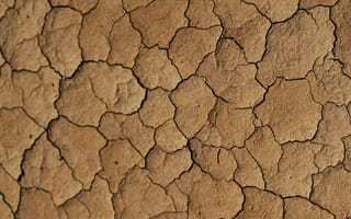 Картинка земля, почва, сухой, текстурный, текстурные, текстура, текстуры, трещины