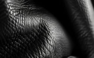 Картинка черный, кожа, текстура, материал, крупный план, монохромный, деталь, роскошь, подлинный, абстрактный, высокое разрешение, шаблон, поверхность, ИИ искусство