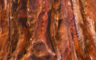 Картинка текстурный, текстурные, текстура, текстуры, деревянный, деревянная, кора
