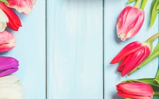 Картинка цветы, colorful, wood, gift box, flowers, spring, tulips, тюльпаны