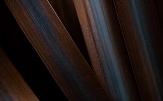 Картинка оранжевые листья, эстетический, шаблон, 5к, крупным планом, макрос, темная эстетика