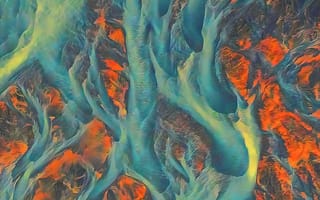 Картинка морская биология, живопись, природа, визуальное искусство, лазурный
